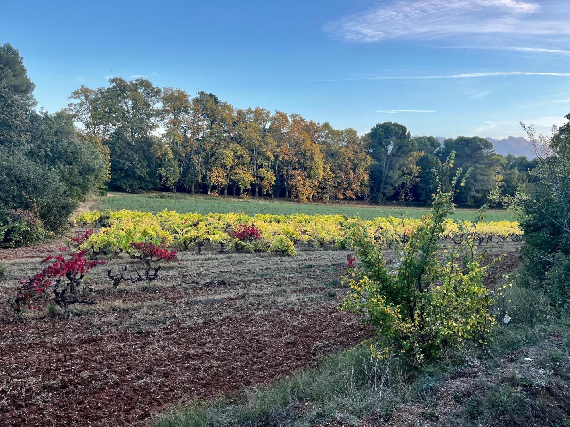 Maison Provencale Au Calme De La Campagne Avec Jacuzzi 普罗旺斯地区艾克斯 外观 照片